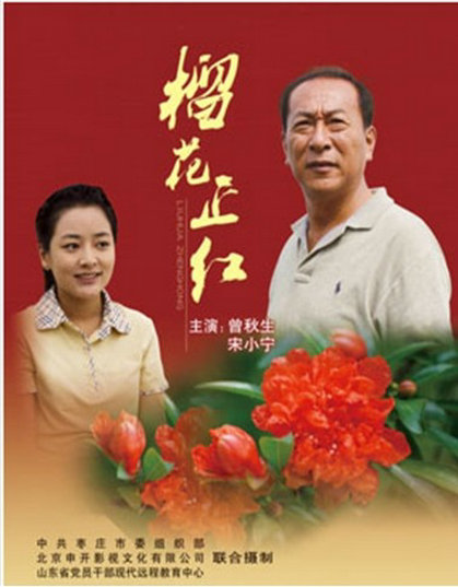舒淇古装樱桃全开图影视海报