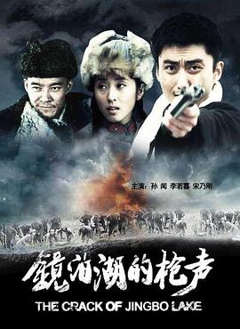 ipx247岬奈奈美影视海报