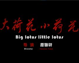 阿片视频影视海报