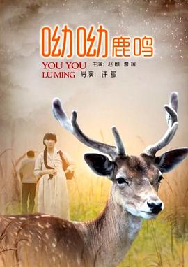 白蛇传说电影在线观看影视海报