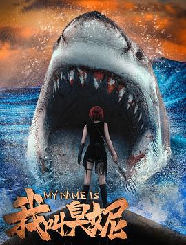 激情之夜影视海报