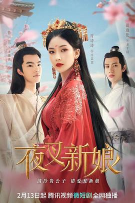 meinvmei222影视海报