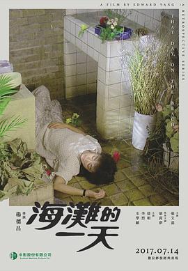 张佩纶影视海报