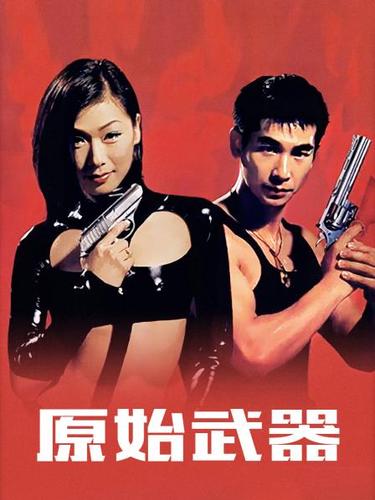 射雕2017影视海报