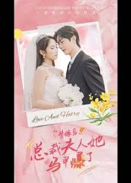 天使之翼影视海报