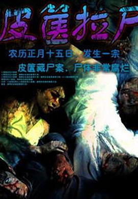 品骏快递物流查询影视海报