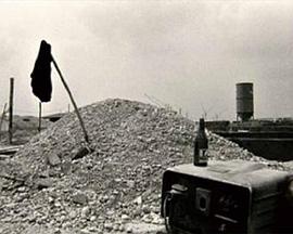 友人的母亲中文字幕mp4影视海报