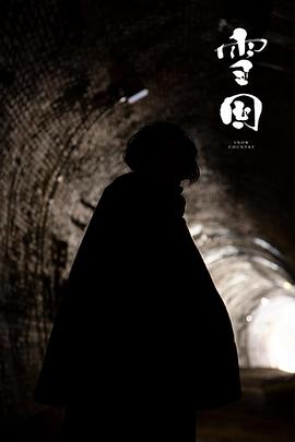 一本到国内在线视频观看影视海报