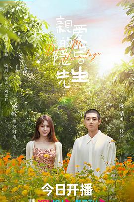 试看体验影视海报