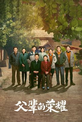 王茜华演的电视剧影视海报