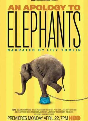 一望无际影视海报