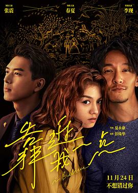 中华大丈夫影视海报