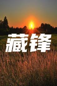 巴黎最后的探戈电影影视海报