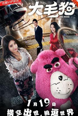 杂家小子国语影视海报