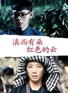 电视剧神秘人质影视海报