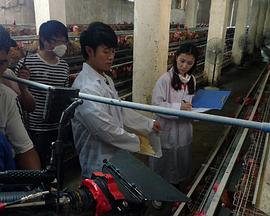 机械师2复活在线影视海报