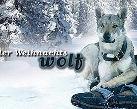 双世宠妃2免费观看360影视海报