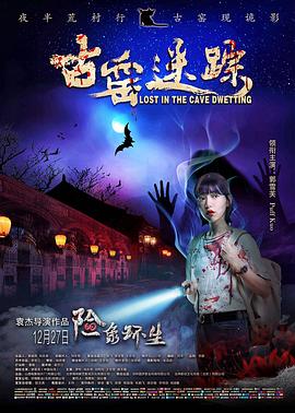 黑孤电视剧全集在线影视海报