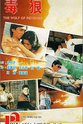 中国惊奇先生视频影视海报