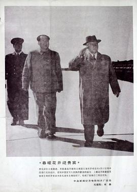 囚犯医生豆瓣影视海报