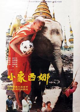 馒头型蝴蝶型图片欣赏影视海报