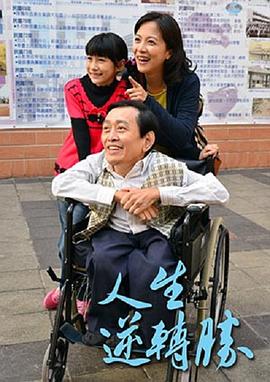 电视剧娘心全集影视海报