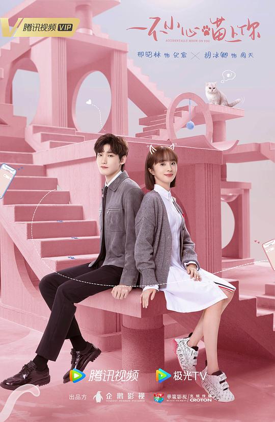 四虎884tt在线影院影视海报