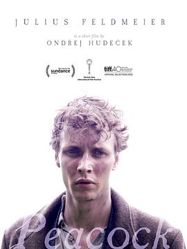 家庭教师波野结衣520影视海报