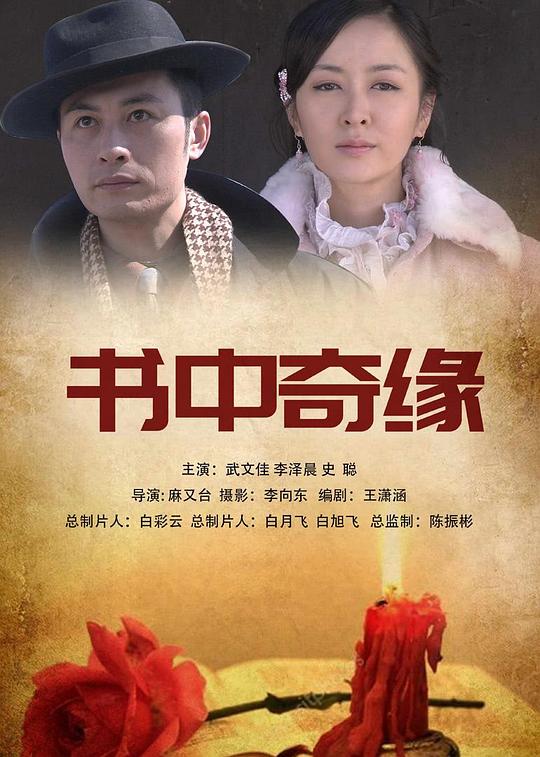 我是军阀影视海报