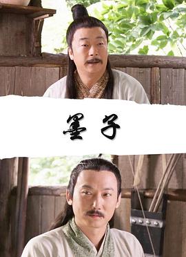 狮子王2电影影视海报