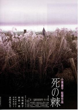 电视剧老中医影视海报