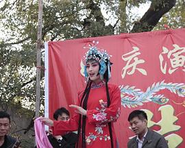 一母三女共侍一夫王南影视海报