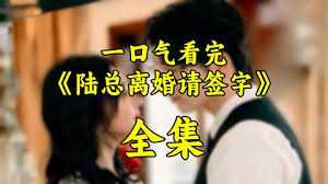 社会与法普法栏目剧影视海报