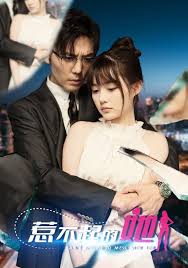 追梦高中影视海报