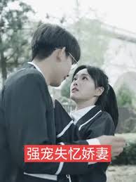 中国好声音2014影视海报
