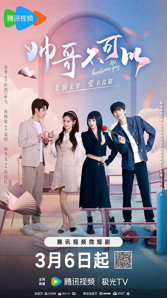 电视剧战火西北狼影视海报