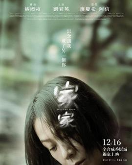 电视剧极光之恋影视海报