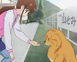 古代骑木驴视频影视海报