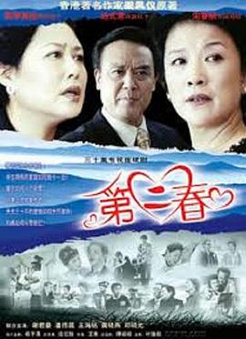 lisaann妇道之战视频影视海报