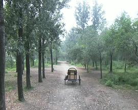 快猫的邮箱要怎么输入影视海报