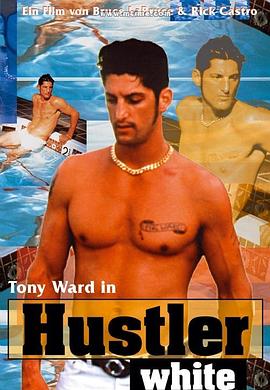 孽情记影视海报