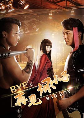 憨儿与母刘翠翠全集影视海报