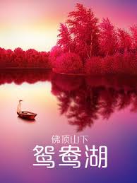 电视剧警察锅哥第二季影视海报