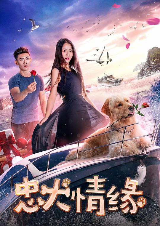 风韵犹存50岁大妈影视海报