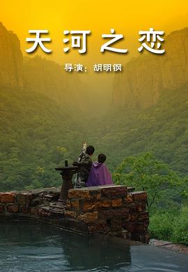 妻子的谎言电视剧影视海报