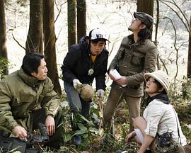 迪迦奥特曼日语版影视海报