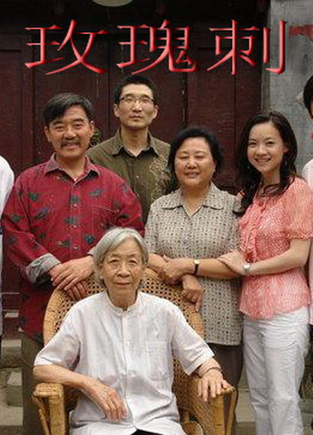 芳芳的幸福生活1到30章影视海报