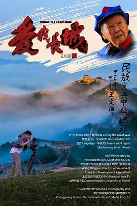 宋佳电视剧大全最新影视海报