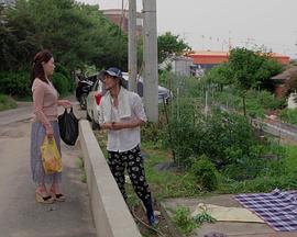 还珠格格野传影视海报