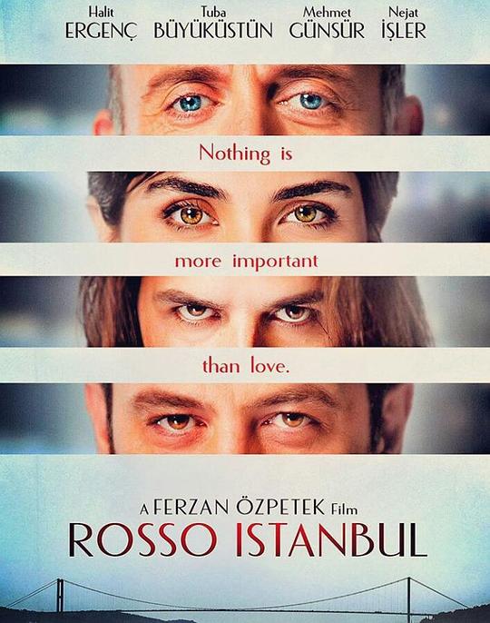 极品流氓俏学姐 无弹窗影视海报